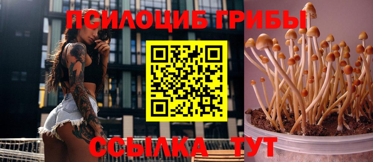 Псилоцибиновые грибы GOLDEN TEACHER  Вход с VPN  Шебекино 