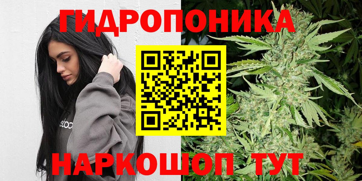 Бошки марихуана Ganja Шебекино